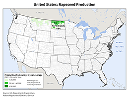 images\US\cropprod\USA_Canola_preview.png